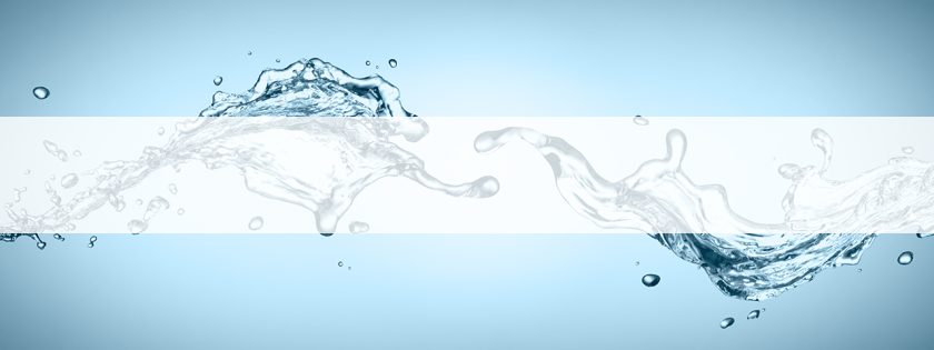 Market Trends, Consumer Behaviour,  and the Shape of Water
