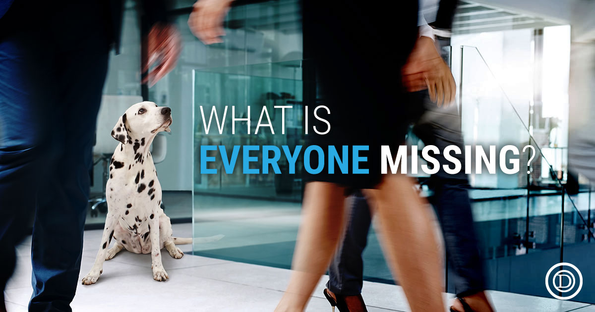 Dalmatian observing employees in an office, symbolising purpose-driven leadership and organisational culture.